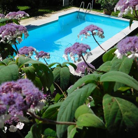Four Seasons Apartment "Green Paradise" Villach Ngoại thất bức ảnh