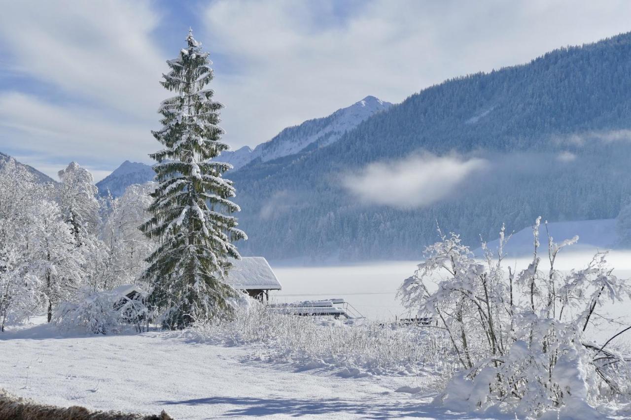 Four Seasons Apartment "Green Paradise" Villach Ngoại thất bức ảnh