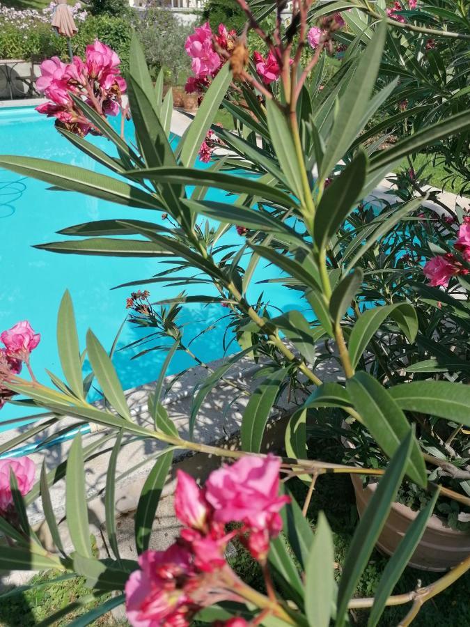 Four Seasons Apartment "Green Paradise" Villach Ngoại thất bức ảnh